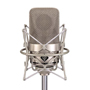 Neumann M 150 Z Tube Microphone