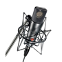 Neuamann TLM 193 Large Diaphragm Condenser Microphone