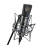 Neumann U 89i Studio Microphone